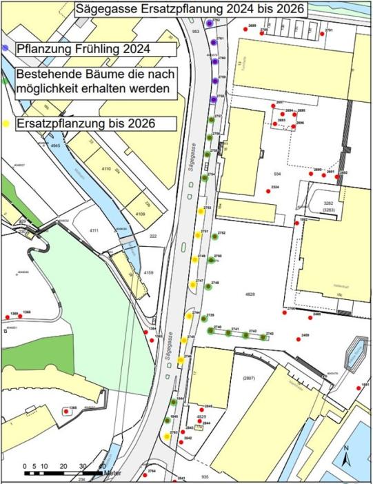 Ersatzpflanzungen Strassenbäume Sägegasse