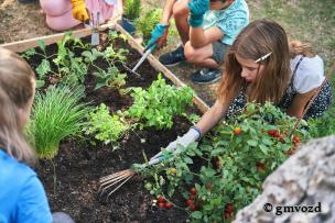 Urban Gardening
