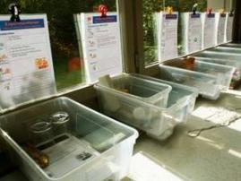 Experimentierstationen