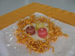 Informationsveranstaltung