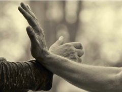 Der Tanz der Energien: Tai Chi & Kung Fu