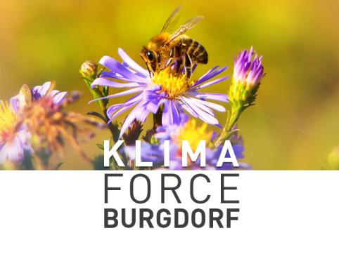 Bild Klima Force