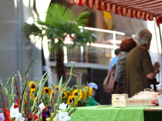 Bild Maimarkt
