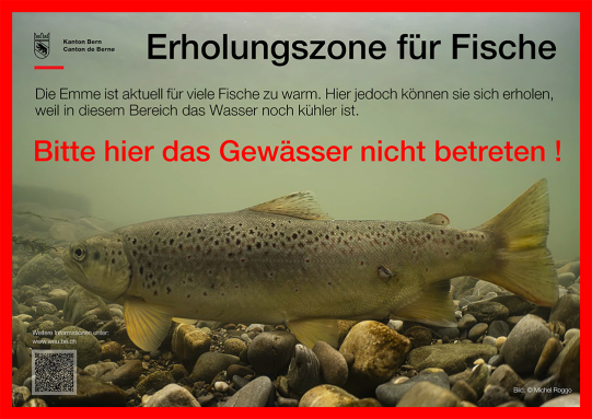 Wärmestress für Fische