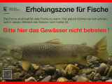 Fische unter Hitzestress – Erholungszonen nicht stören
