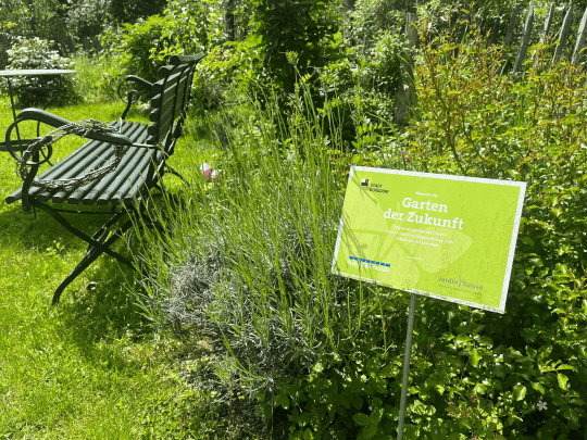 Burgdorf blüht auf – dank Ihnen!