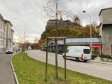Ersatzpflanzungen Strassenbäume Sägegasse 2024 - 2026