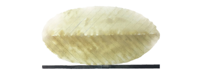 Andreas Althaus ¦ Blatt o.T.